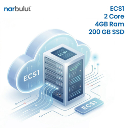 Narbulut Bulut Sunucu Hizmeti - Ecs1 2Core 4Gb Ram 200Gb Ssd 1 Aylık

